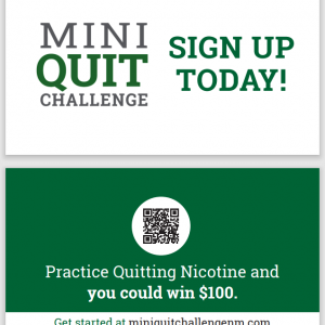 Mini Quite Challenge Wallet Cards