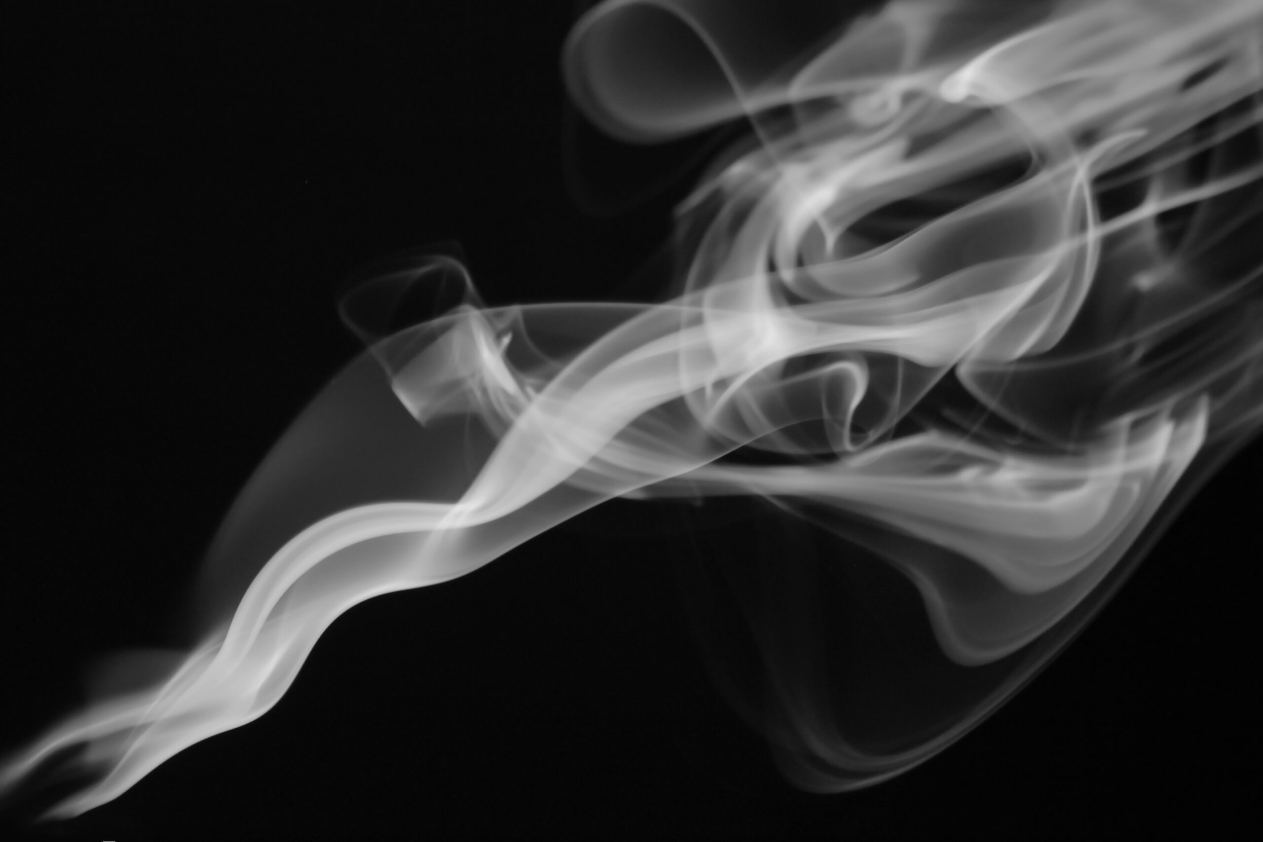 Halloween Black White Smoke Incense Stick Spiral Abstract Background Cigarette Steam Fumes Hookah Swirl Pattern Ring Texture Blurred Motion Vitality Grayscale Dark Backdrop Copy Space Macro Photography white smoke on black background